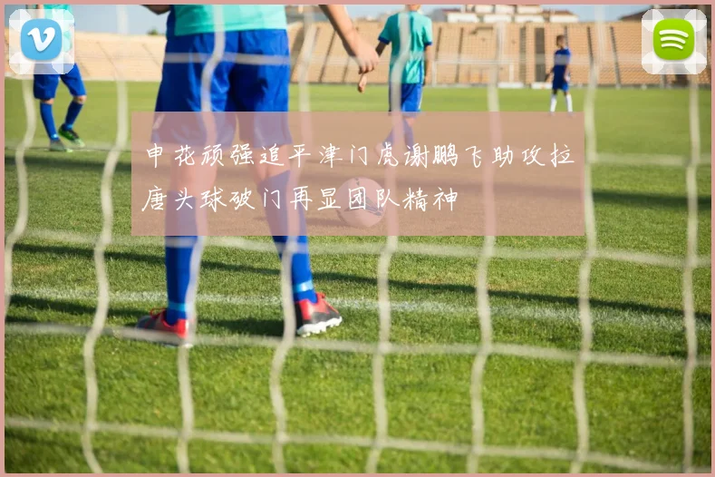 申花顽强追平津门虎谢鹏飞助攻拉唐头球破门再显团队精神